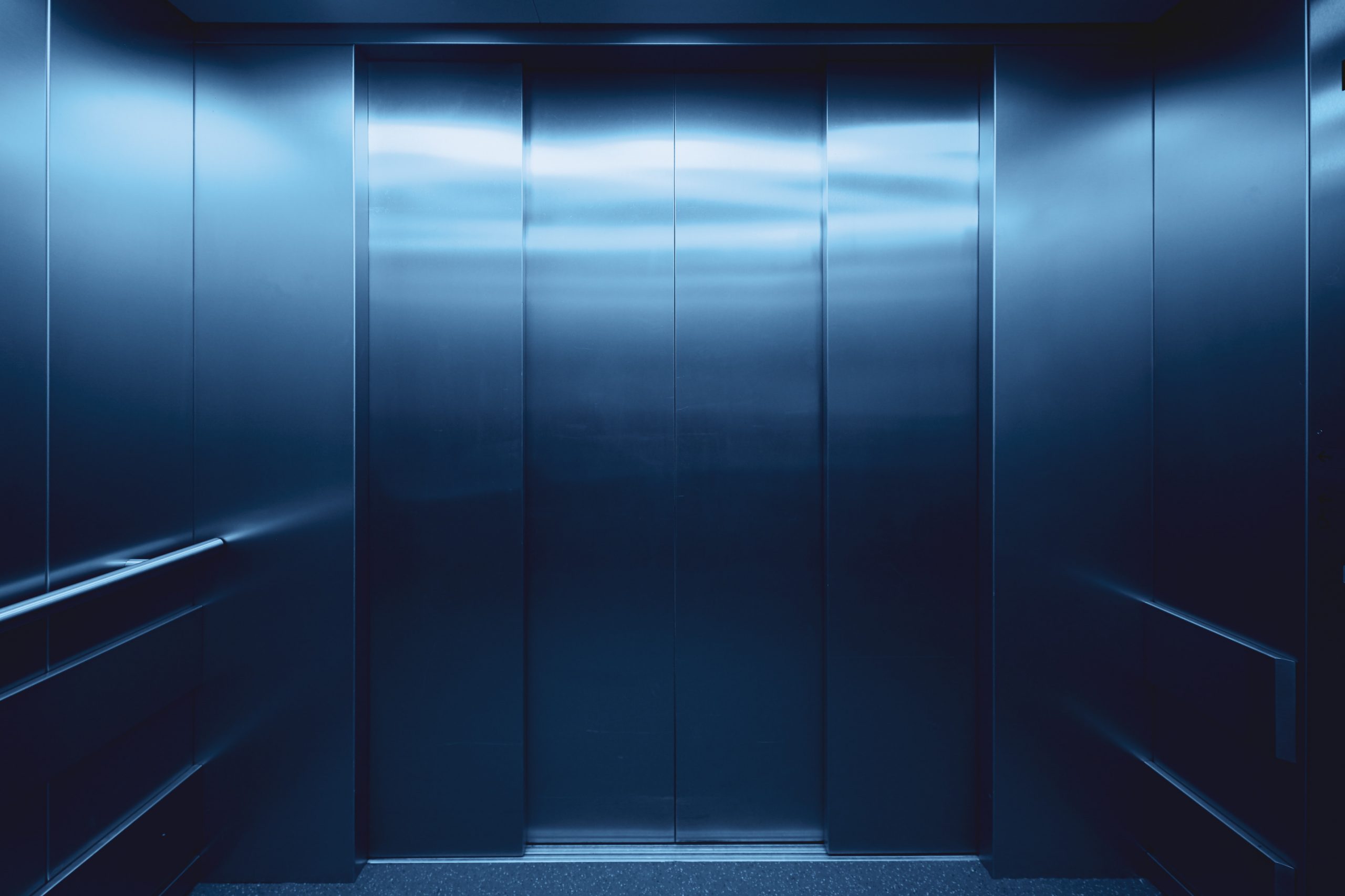 bruno kelzer dendZhhfkTc unsplash scaled